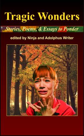 Tragic Wonders - Stories, Poems, and Essays to Ponder cover image